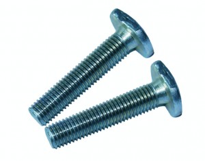 اكتب T bolt